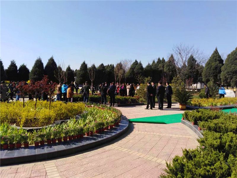 园区环境展示