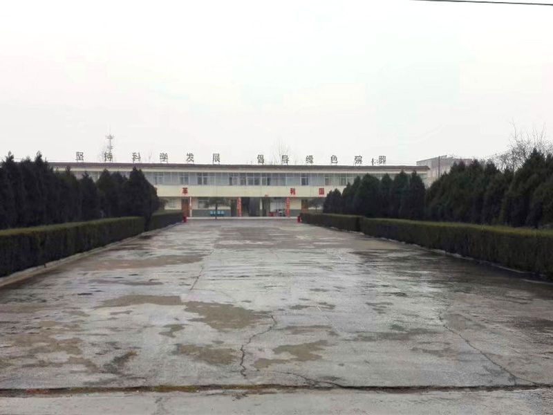 园区环境展示